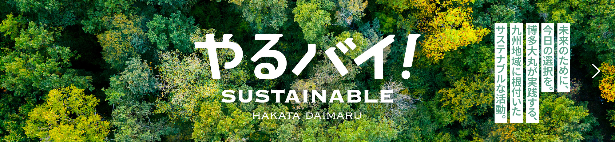 やるばい！SUSTAINABLE